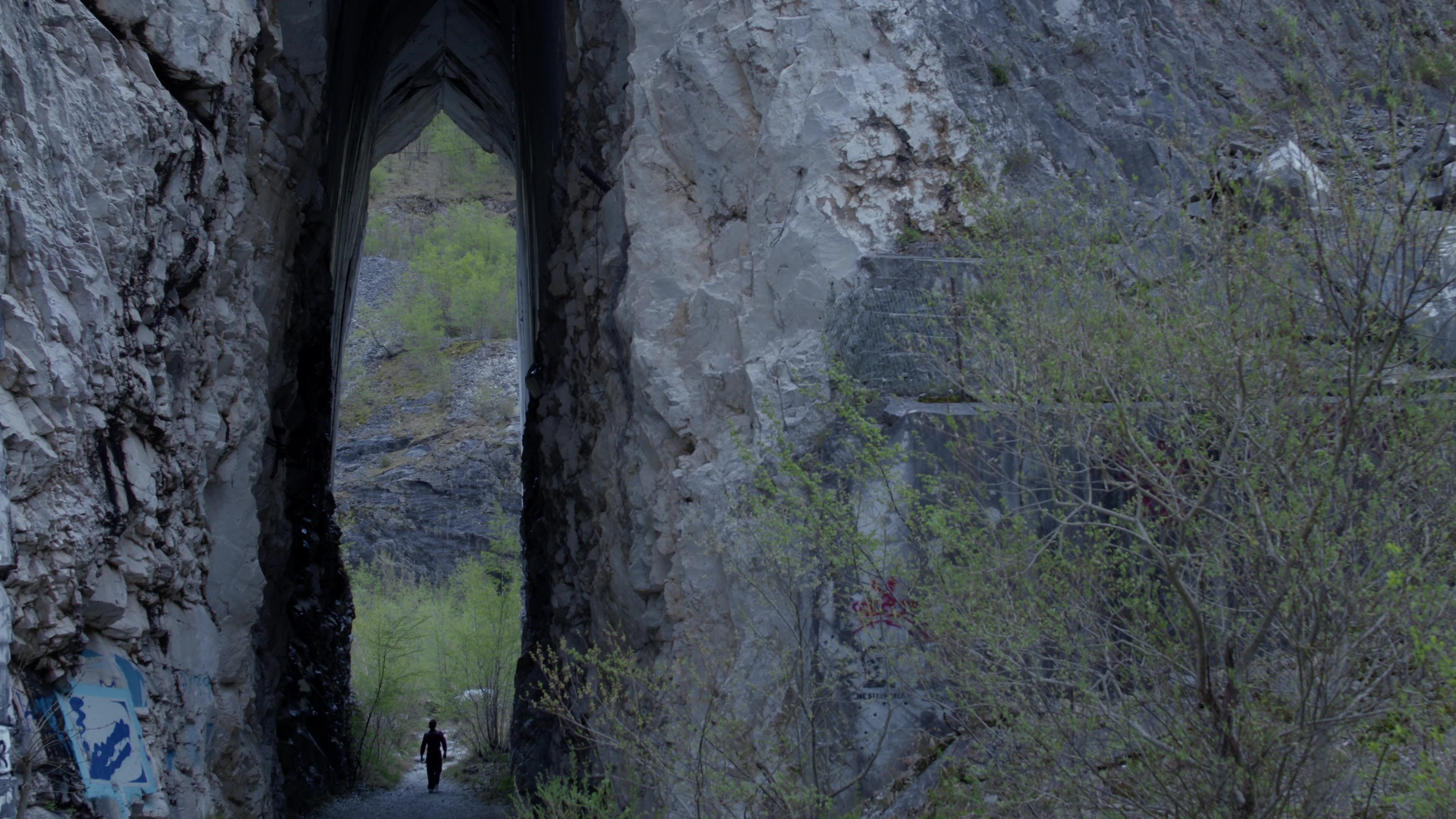 Cinghiale Film Teaser